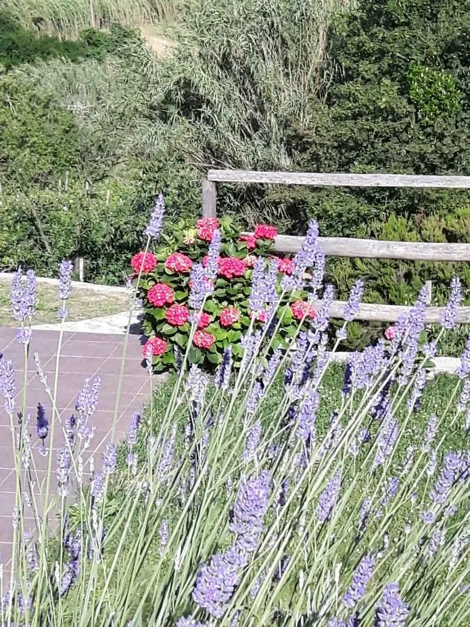 Ort Holiday'S Time Orco Feglino Bed and breakfast