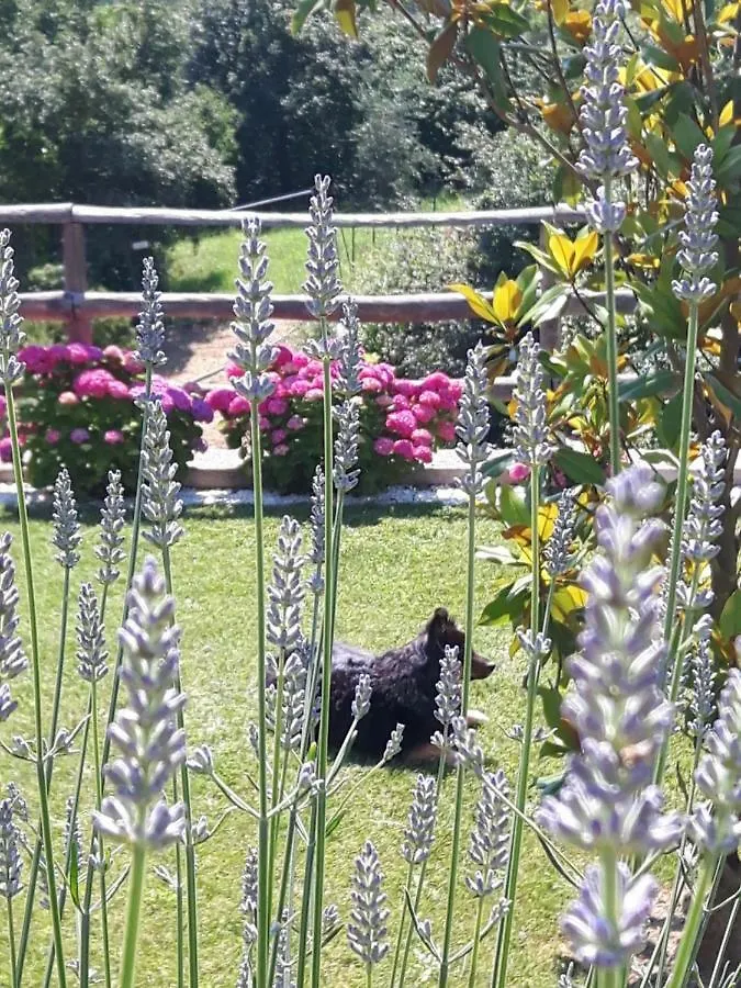 Ort Holiday'S Time Orco Feglino Bed and breakfast